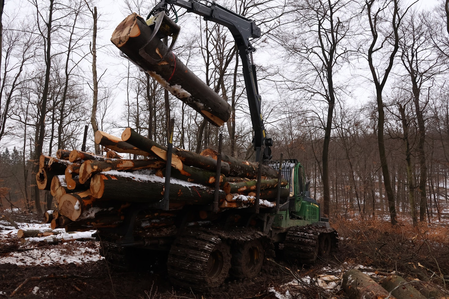 Investing In Durability For High Impact Forestry Work